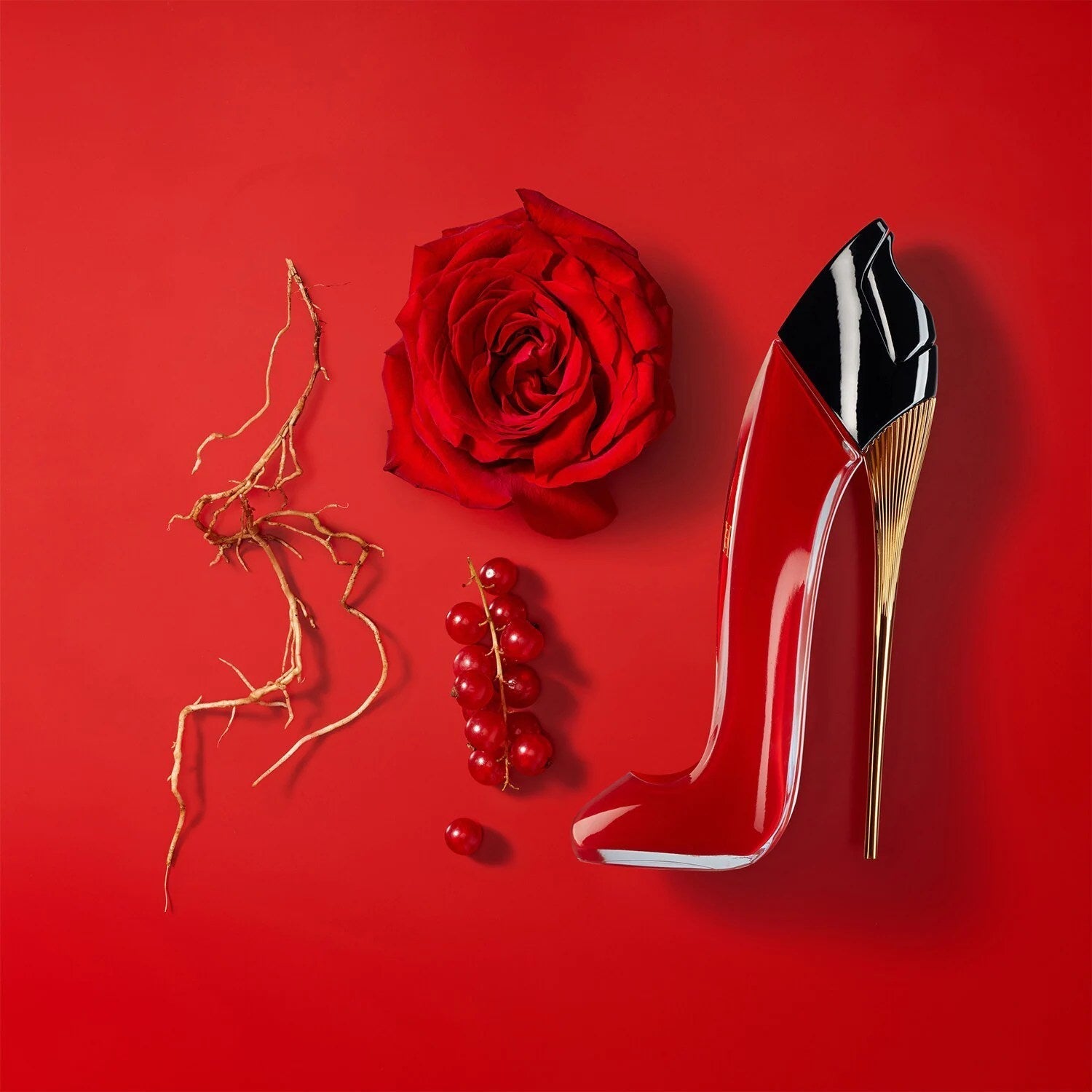 CAROLINA HERRERA - Aromatrail