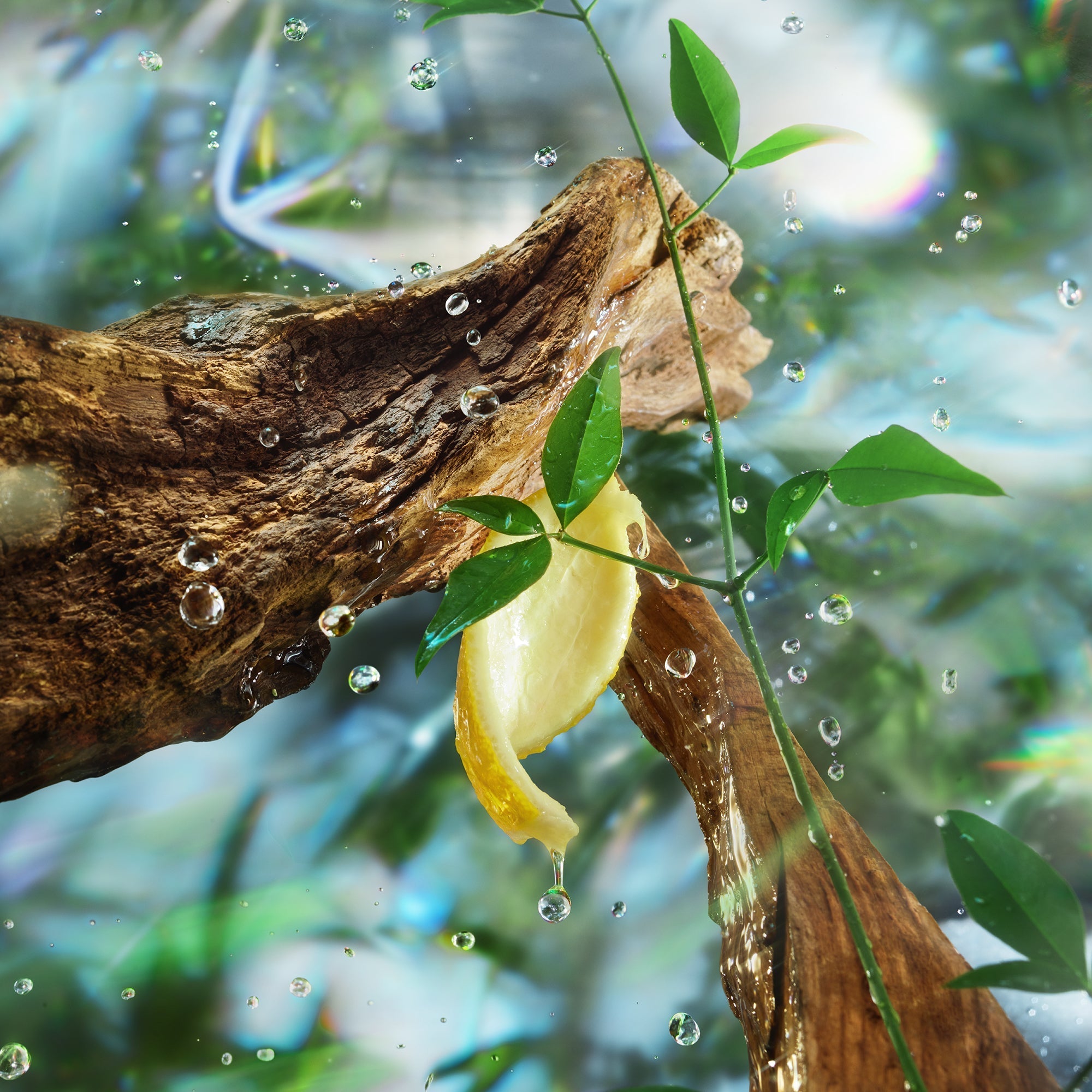 FRESH NOTES - Aromatrail