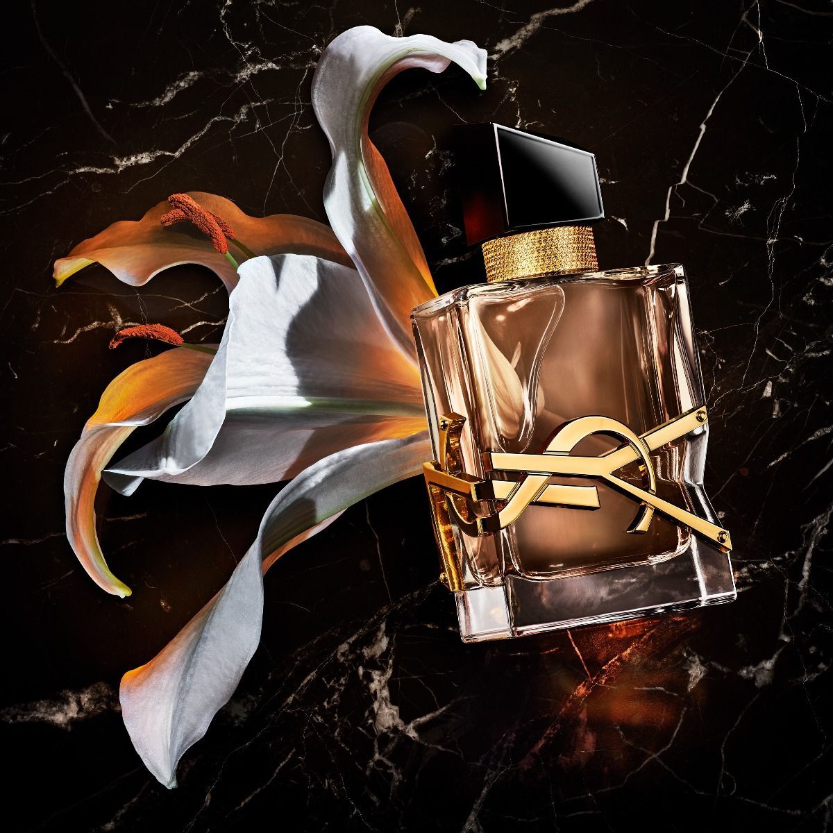 YVES SAINT LAURENT (N)