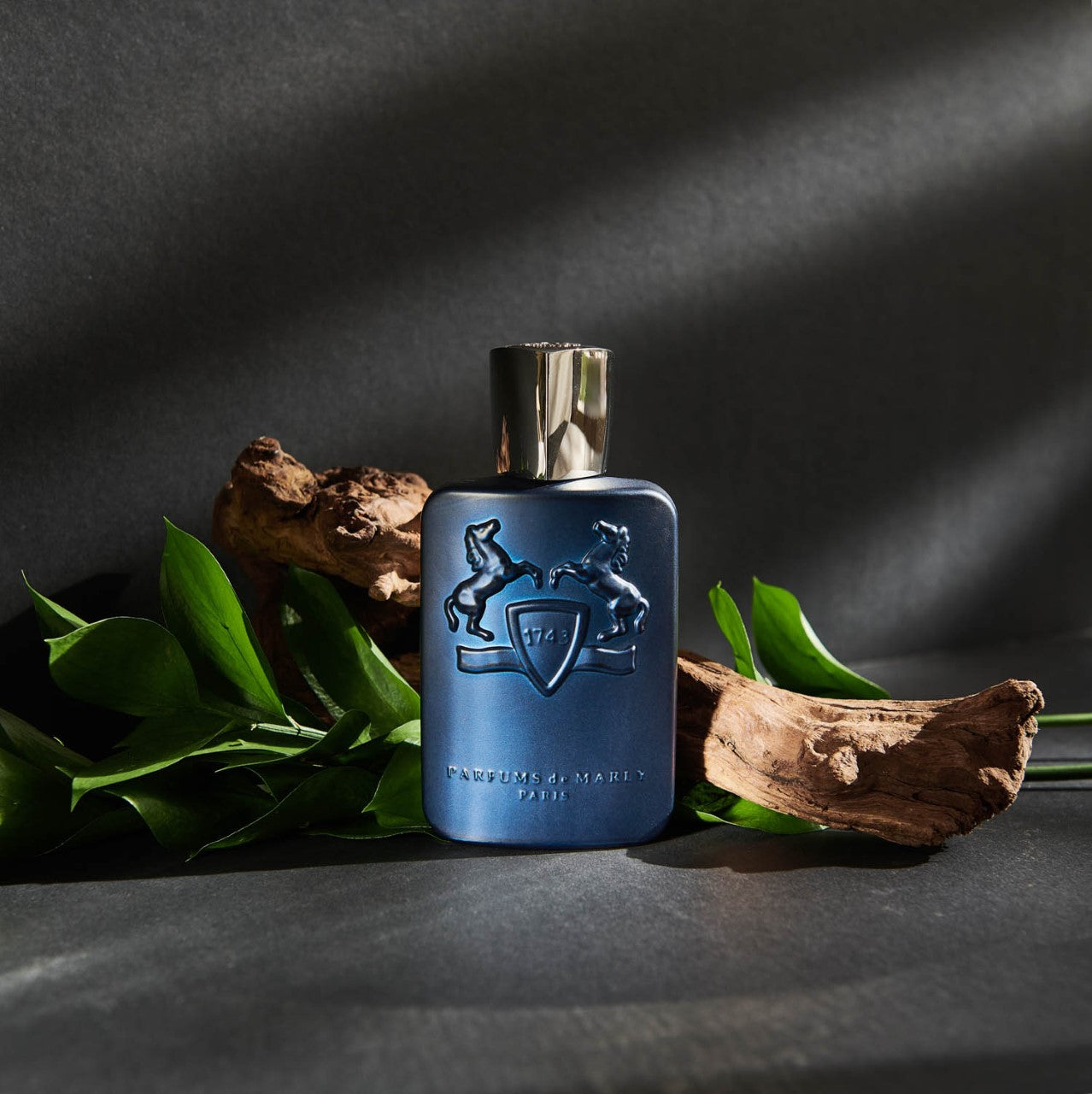 PARFUMS DE MARLY (N)