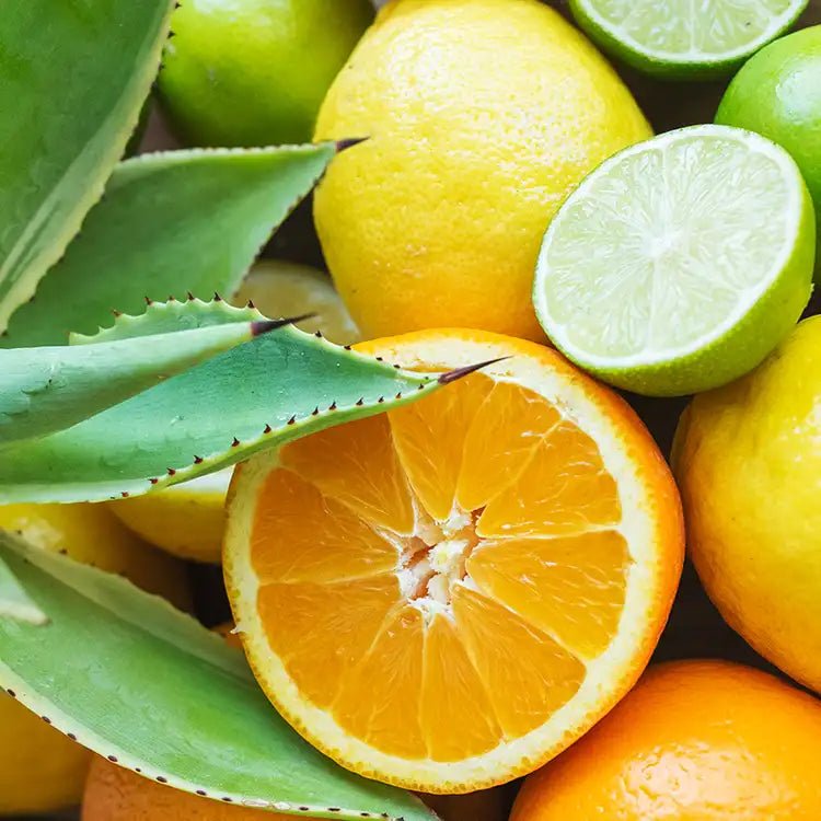 CITRUS NOTES