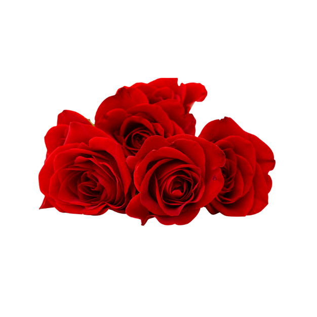 ROSE NOTES