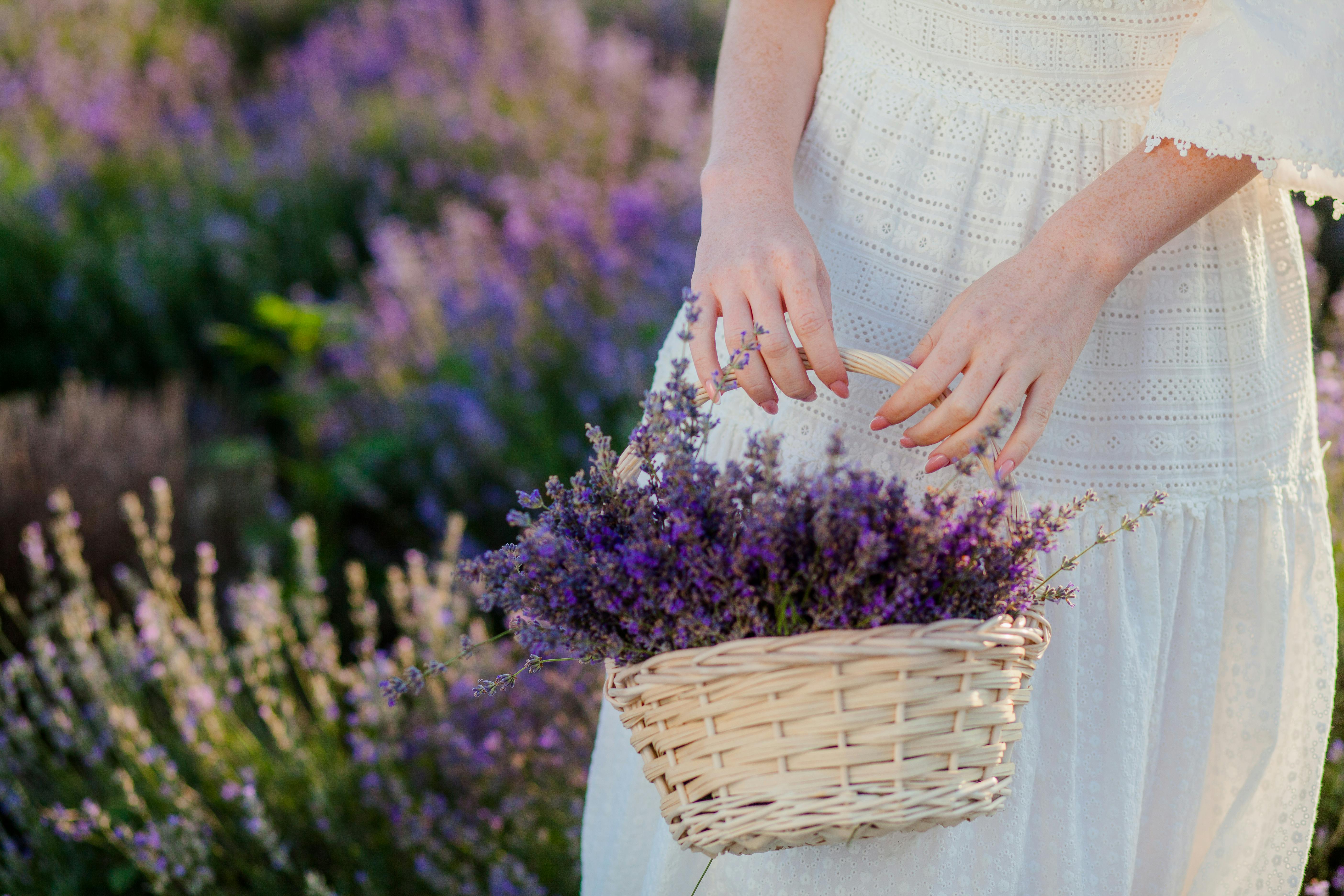 Aromatrail
