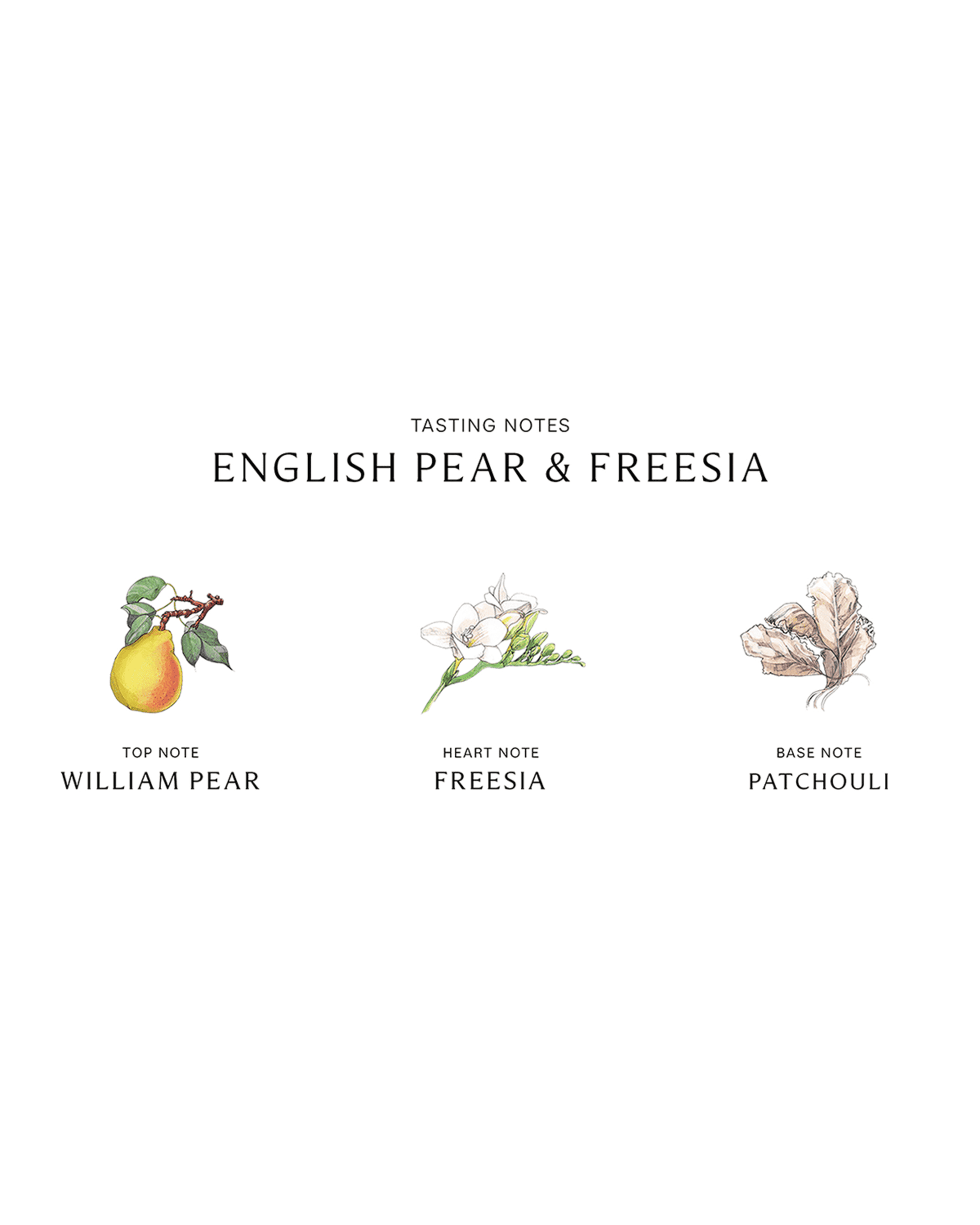 Jo Malone London English Pear & Freesia Cologne 100ml - 100ml